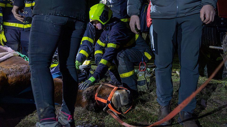 Hasiči opět pomáhali ležícímu koni ve výběhu. Je to počtvrté za dva týdny