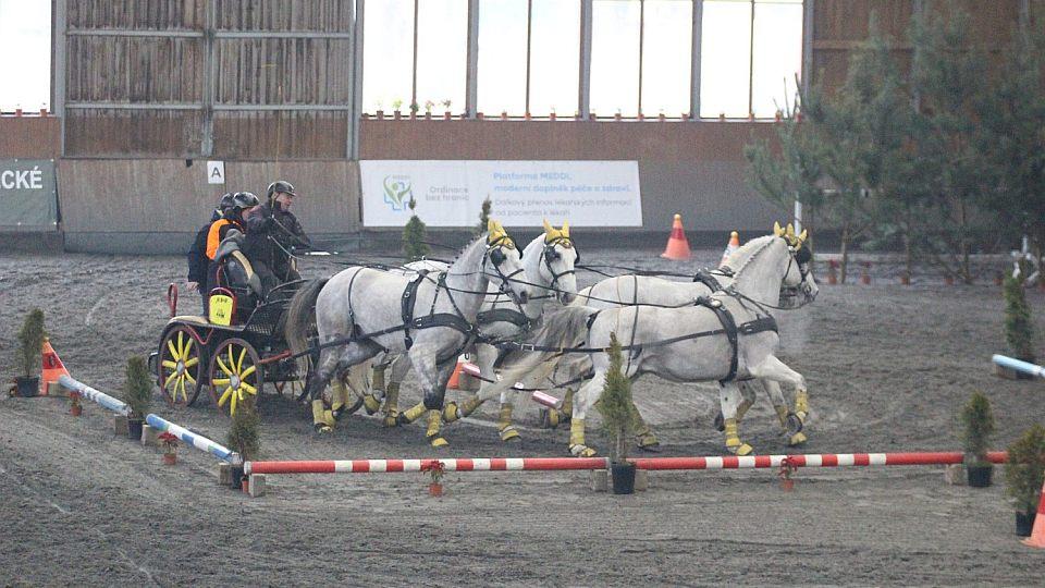 Začíná desátý Zimní jezdecký pohár. Do Hradištka míří téměř padesát kočárů