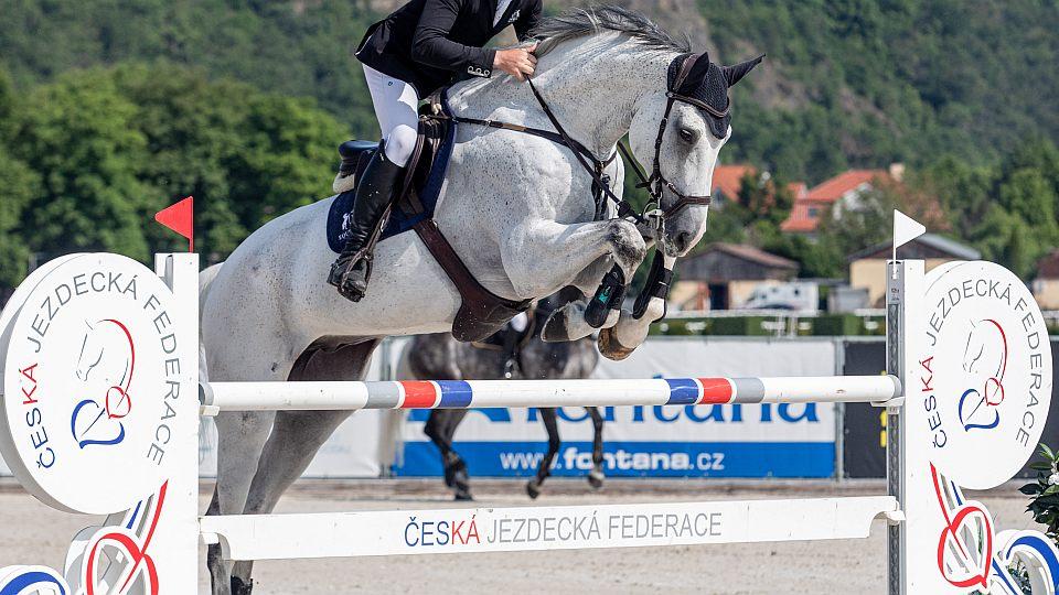 Začal platit nový dokument Vzdělávání v ČJF. Novinkou je hobby licence