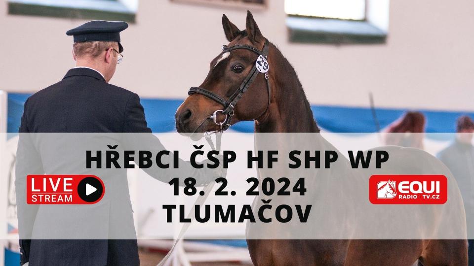 Živě: Přehlídka a předvýběr hřebců ČSP, HF, SHP a WP 2024 v Tlumačově
