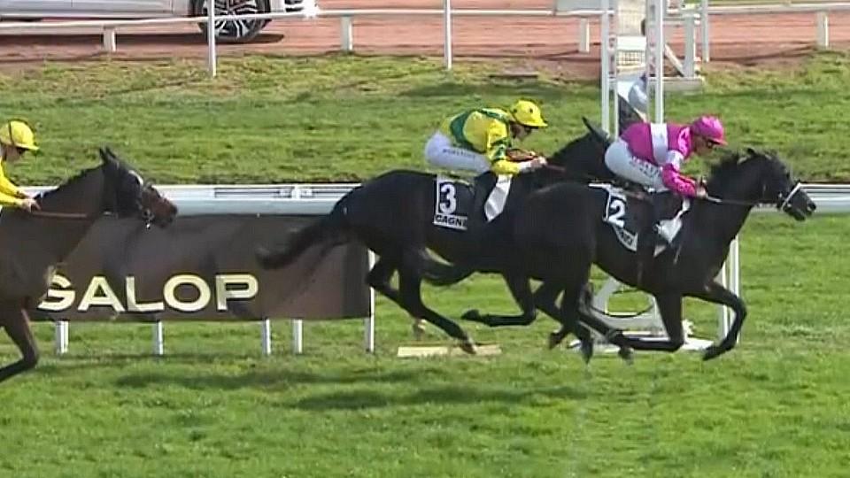 Shahbandar podruhé zvítězil v Cagnes-sur-mer, české double v Trevisu