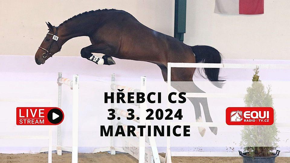 Živě: Sledujte předvýběr hřebců do plemenné knihy CS 2024 v Martinicích