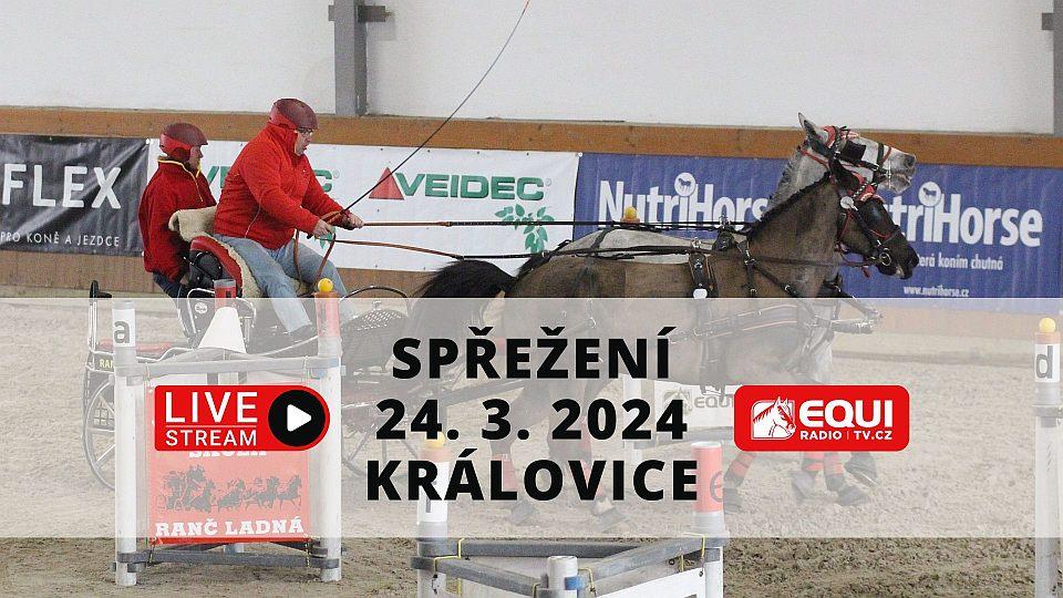 Živě: Finále Zimního jezdeckého poháru spřežení 2024 v Královicích