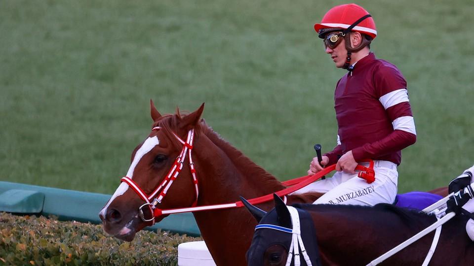 Murzabajev debutuje v Dubai World Cupu. Je to hodně dobrý pocit, hodnotí
