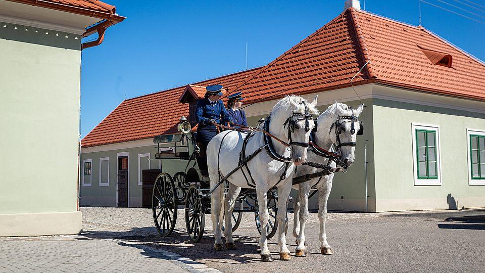 Kladrubský hřebčín má nové návštěvnické centrum. Vzniklo z bývalých stájí