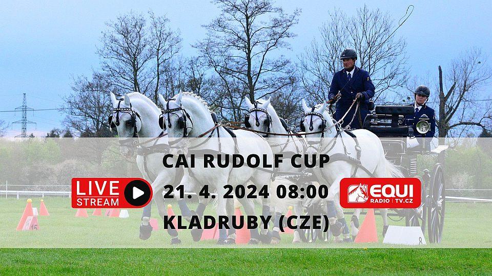 Živě: Rudolfův pohár 2024 s rekordní účastí vozatajů. Sledujte CAI Kladruby