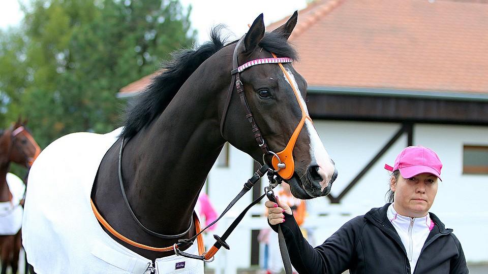 Další klasika pro Janáčkovou s Lukáškem: Gabon dominoval v Bratislavě