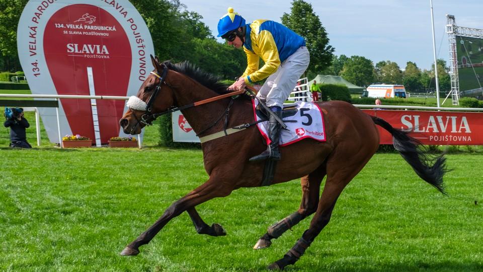 Úvodní cross country Koroka ovládl Coupstar, Kocman slavil hattrick