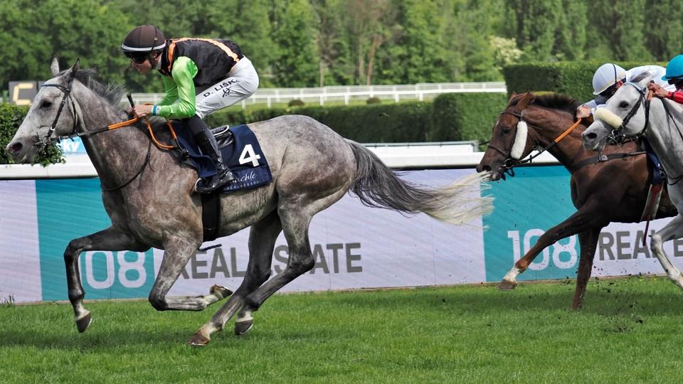 Den hattricků v Chuchli. Ignacius Reilly nezklamal, Jana Manová překvapila