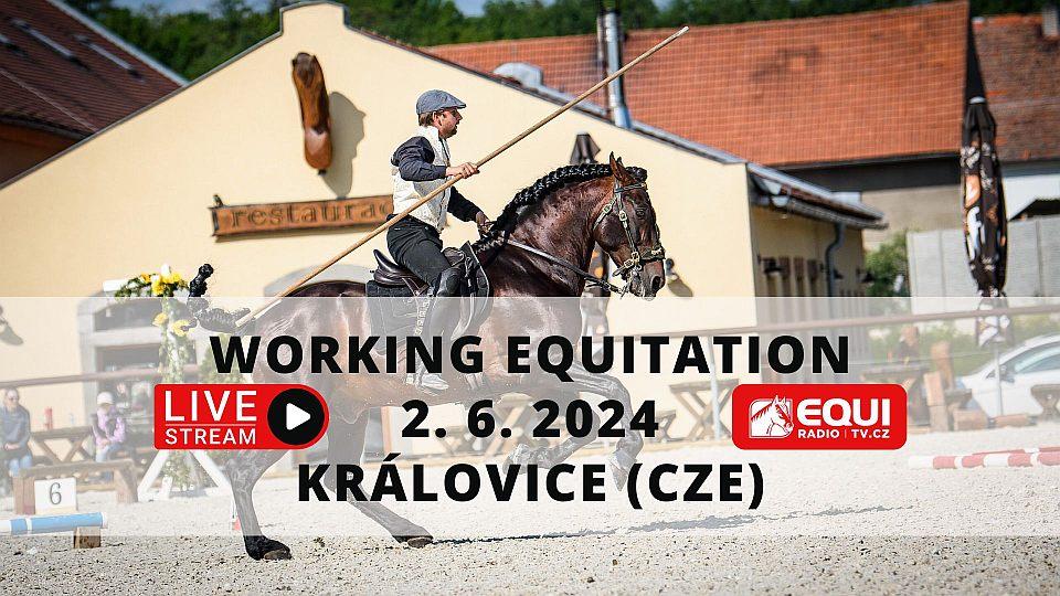 Živě: Sledujte třídenní Czech Working United 2024 v Královicích na EquiTV