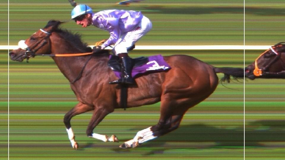 Rex Of Thunder zdolal šest derby-vítězů. Na Turf gala hrála jen česká hymna
