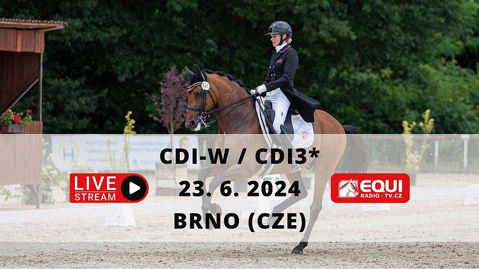 Živě: Sledujte Světový pohár v drezuře CDI-W Brno 2024 na Panské líše