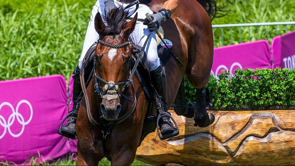 ČJF v pondělí oznámí, kteří jezdci a koně pojedou na olympiádu do Paříže