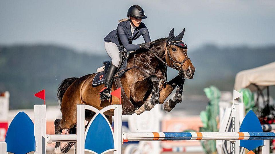 Imola: Vnímavá a pracovitá klisna, kterou doma baví víc drezura než skákání