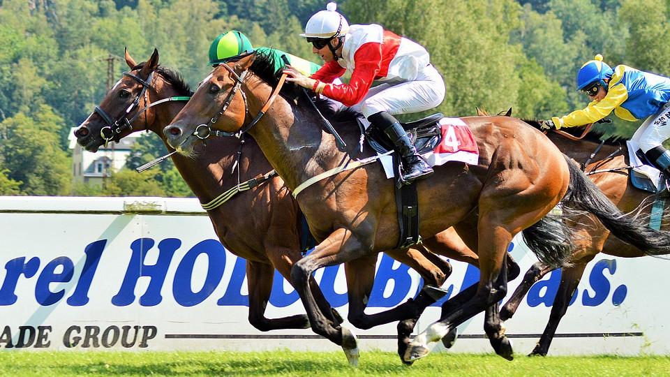 Karlovarské kouzlo Vignetty trvá. Souboj chuchelských legend pro Pejškovou
