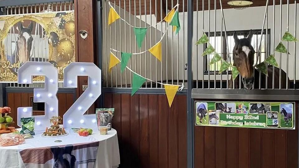 Odešel Istabraq. Majitel, trenér a žokej mu stihli vystrojit 32. narozeniny