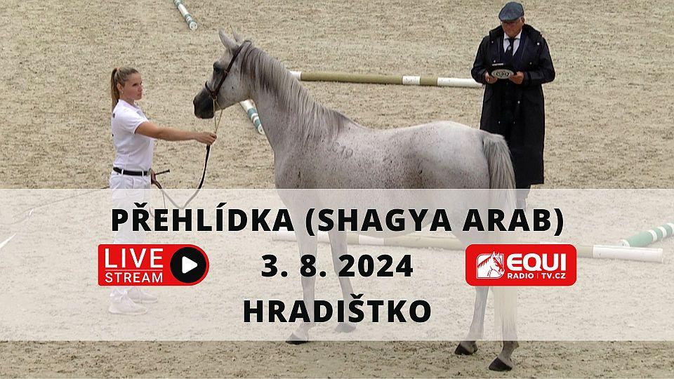 ikonka