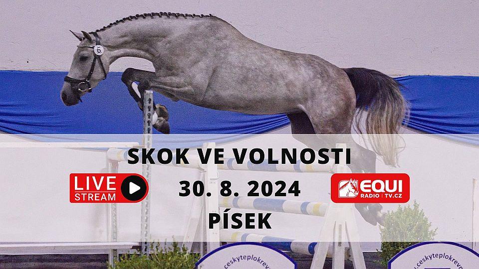 Živě: Sledujte večerní skoky ve volnosti tříletých klisen 2024 v Písku