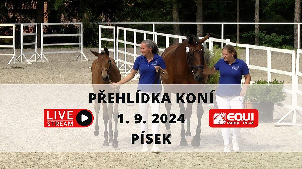 ikonka
