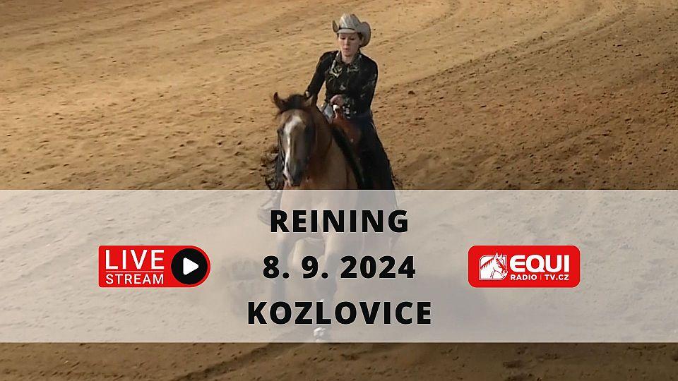 Živě: Sledujte reiningové mistrovství České republiky 2024 v Kozlovicích