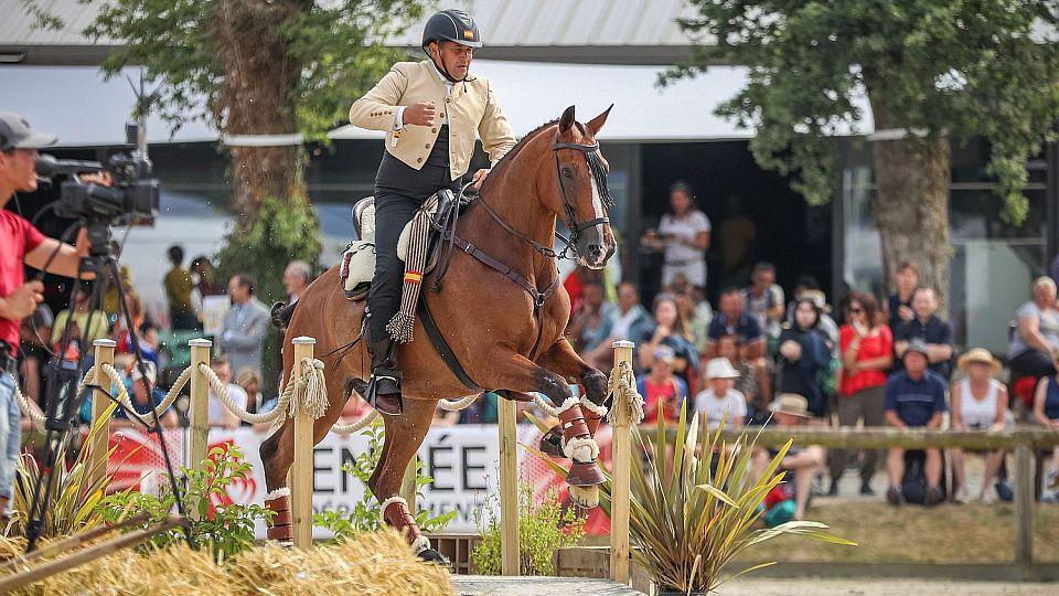 Hvězdy Working Equitation míří do Čech. Obořiště hostí mistrovství Evropy