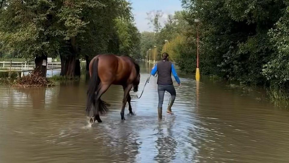Voda se prohnala stájemi v Ostravě i v Poděbradech. Opava zrušila závody