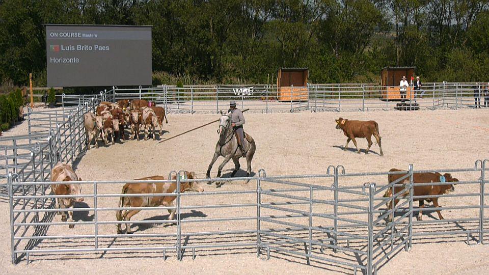 Portugalci jsou evropskými šampiony WAWE. Cow test však vyhráli Němci