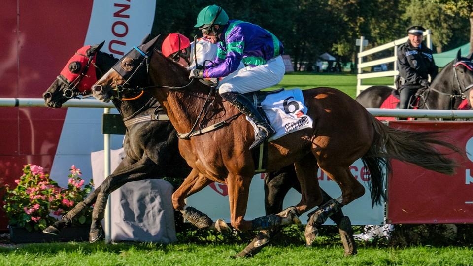 Velká pardubická má dva vítěze. Sexy Lord a Godfrey vyhráli současně