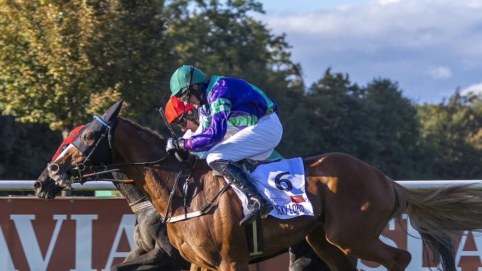 Cílová fotografie Velké pardubické vůbec nevznikla, potvrdil Jockey Club ČR