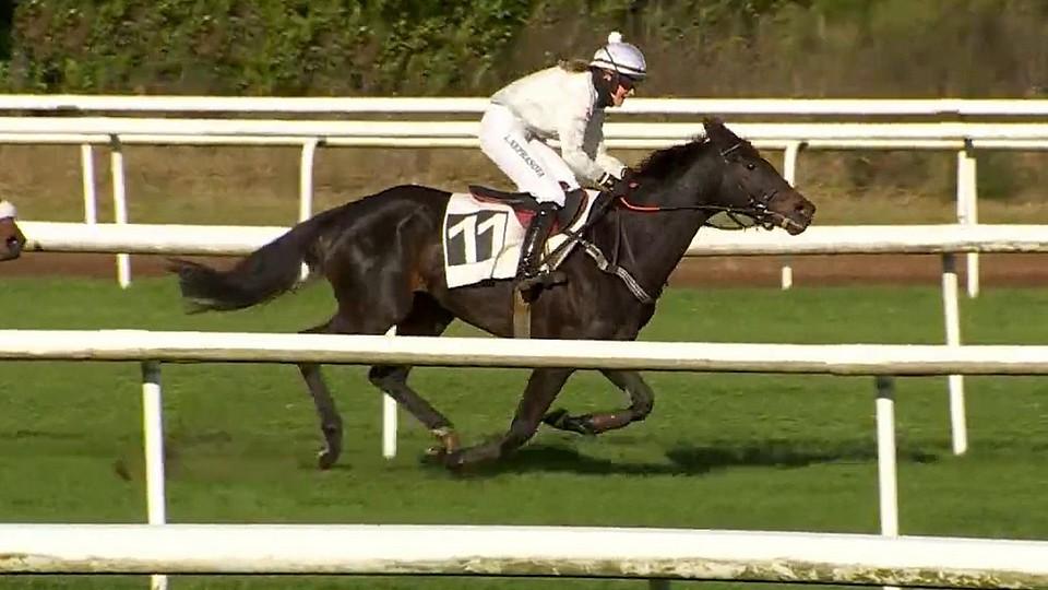 Poctivá Platina opět nezklamala, s Neprašovou vyhrály ve Fontainebleau