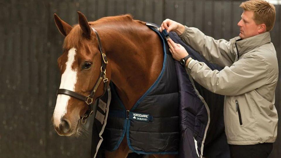 Equiservis doporučuje: Usnadněte si dekování s linery od Horseware