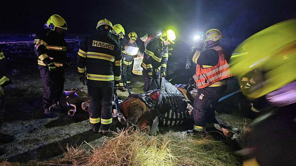 Silvestrovský ohňostroj na Ústecku vyděsil koně. Jeho zranění bylo fatální