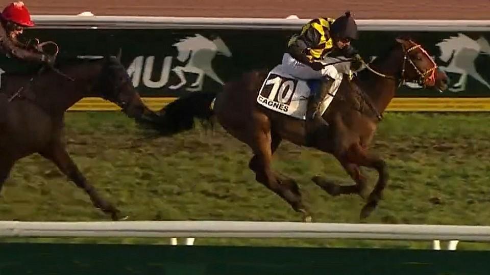 Fantastický Ange Pitou vyhrál listed v Cagnes, český hattrick v Pise