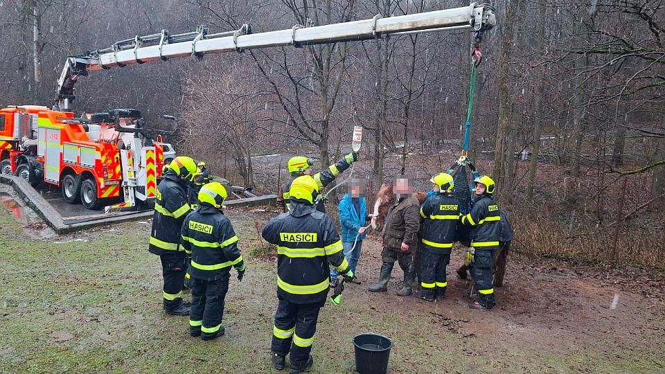 Hasiči pomáhali klisně na kluzkém povrchu. V akci byla síť i dlouhé rameno