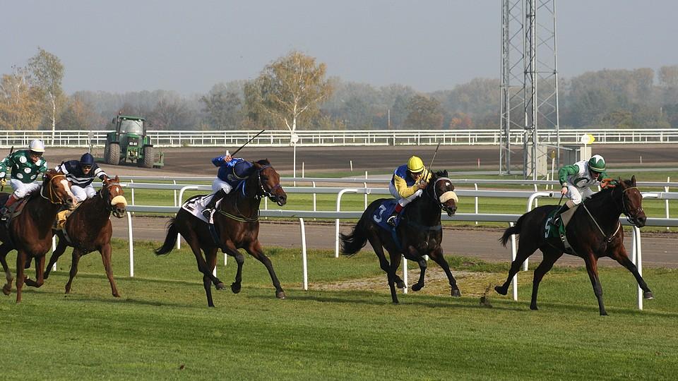 Potvrzeno: Magna Racino v Ebreichsdorfu koupil irský miliardář Luke Comer