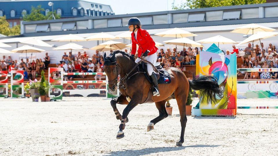 Odešel hřebec Caleri. Impozantní kůň, divoch i hvězda skokové reprezentace