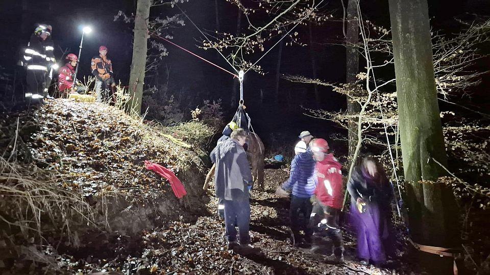 Hasiči zachraňovali v Českém ráji koně. Spadl do padesátimetrové rokle