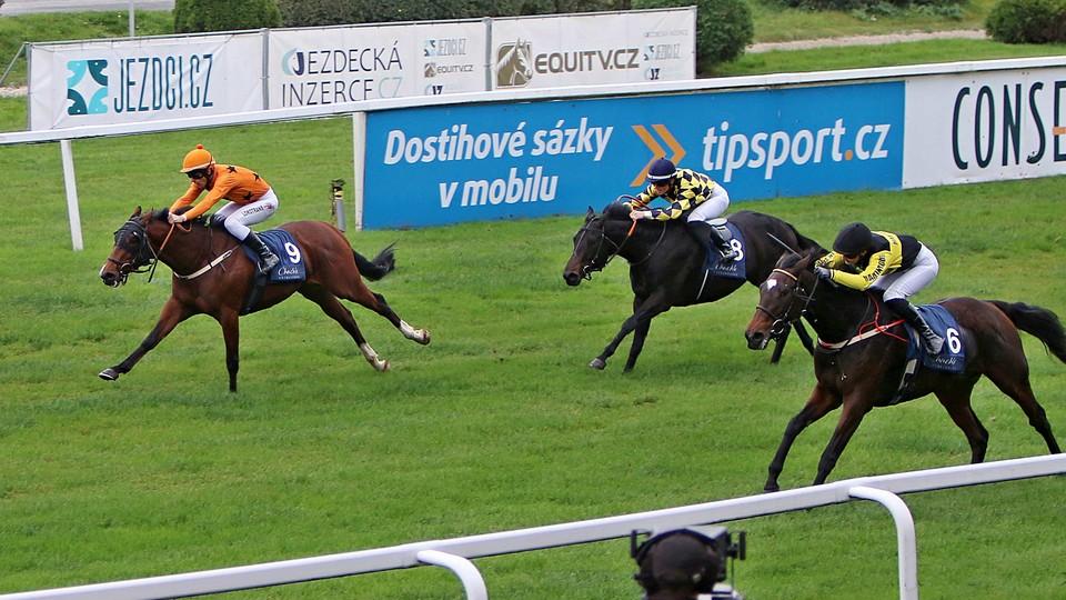 Dostihy v televizi: ČT má klasiky a Pardubice, Sporty TV chystá pět přenosů