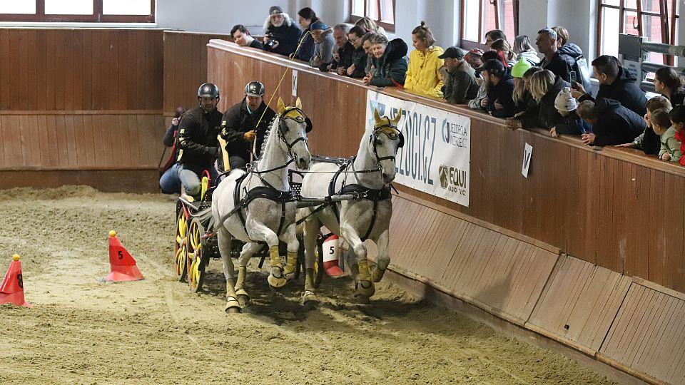 Uspěje Domes? V Brně se koná poslední kvalifikace Zimního poháru spřežení