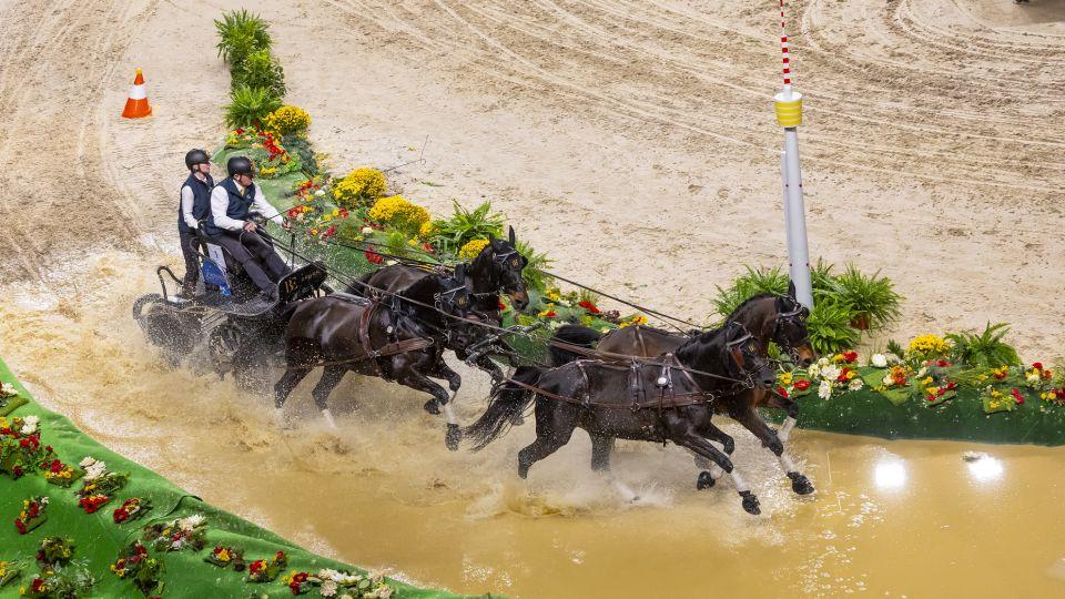 Příběh Bajnoka: Kůň, který vozíval turisty, ovládl osmkrát Světový pohár