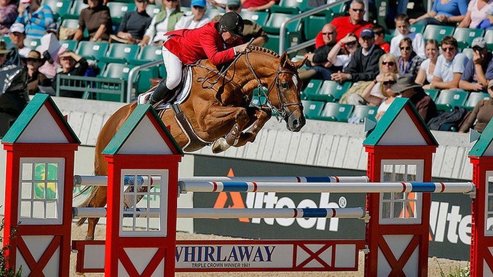 Vigo: Šampion i bláznivý mustang, který by se pro svého jezdce přetrhl
