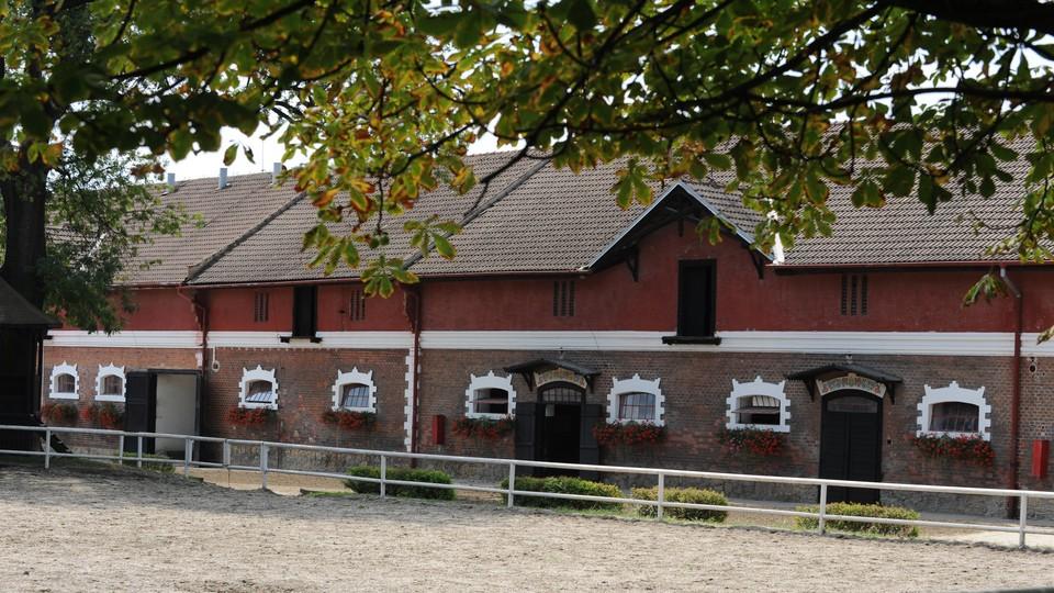 Majitelé hřebčína Napajedla: Hledáme řešení, které dává ekonomický smysl