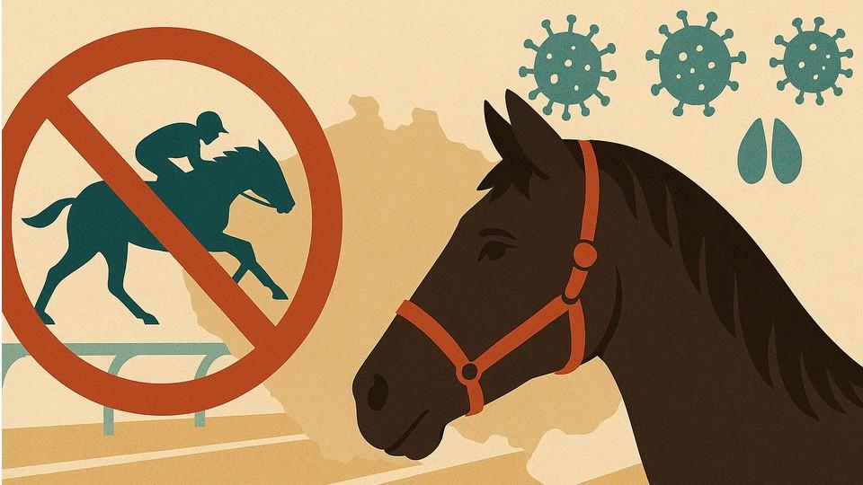 Dostihy a SLAK: Jockey Club zakázal starty koním ze Slovenska a Maďarska