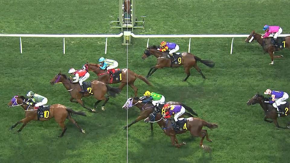 Hongkongský vítěz s českou stopou: Winning Heart triumfoval v Happy Valley