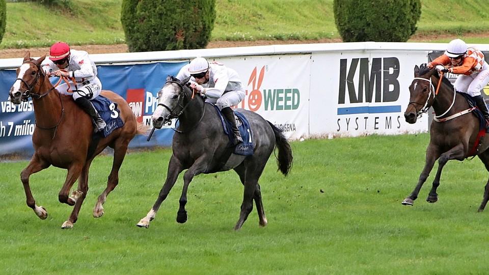 Velkou červnovou cenu ovládla stáj Pegas, Janáček v Chuchli slavil hattrick
