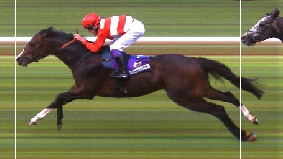 Gasparini psal historii na Turf Gala, české série i v Meranu a Wroclawi
