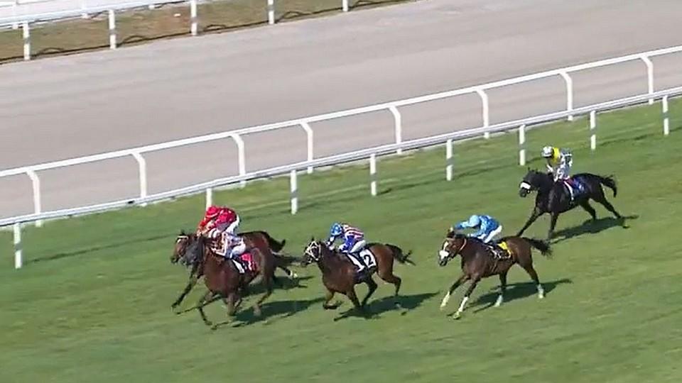 Český hattrick v Meranu, Rex Of Thunder a Garmona čtvrtí v blacktype