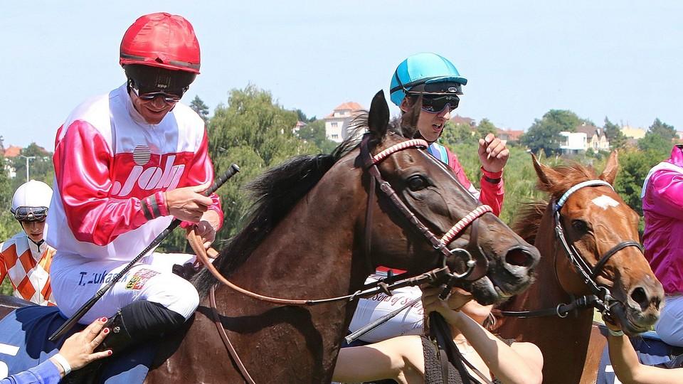 Nejlépe hodnoceným tříletkem je sprinter. Jawwal přeskočil i vítězku derby