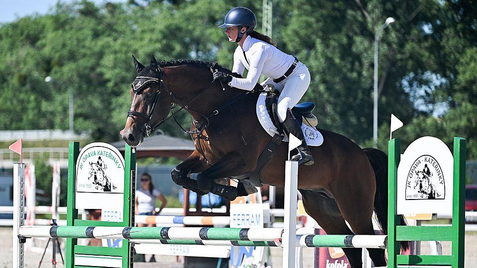 Při KMK v Opavě obhájili vítězství jen hřebci Quantanamo 1 a Royal White TN