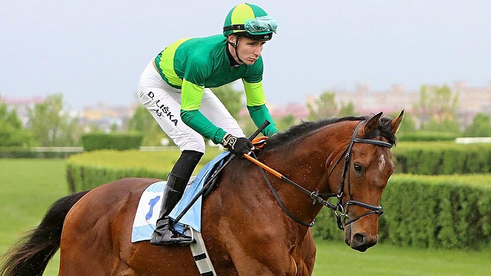 Liškovi se v Německu daří. Šampion se etabloval v elitní desítce žokejů